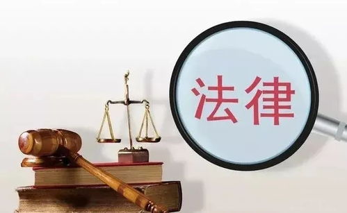 东莞南城与松山湖发布重要通告，助力个人商务服务高效运行