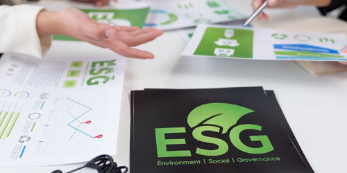 构建中国特色ESG服务生态 以个人商务服务驱动经济绿色转型